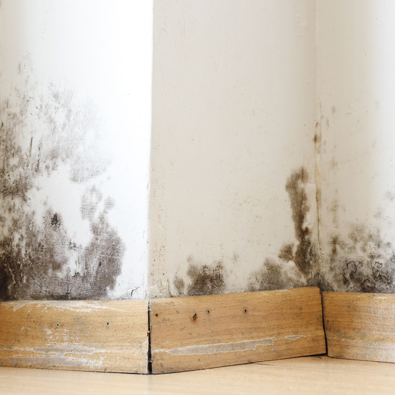 Your-Kee-Contractor-Services-Rot-Damage